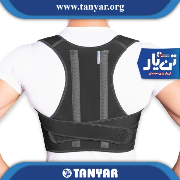 قوزبند پل دار اپلون (پددار)