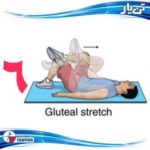 gluteal stretch