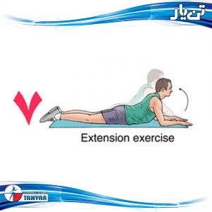 extension exercise