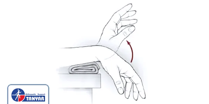 حفظ دامنه حرکتی